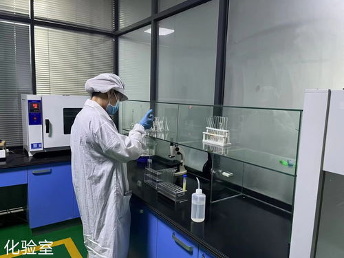 新泰市構建全產業鏈體系 軟件技術賦能預制菜產業高質量發展